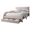 Grand lit, rose, revêtement en velours côtelé, tiroir sous le lit, design contemporain, sommeil confortable moderne, velours côtelé plateforme, taille, support fiable