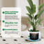 Pot Planter-292598210-292598212