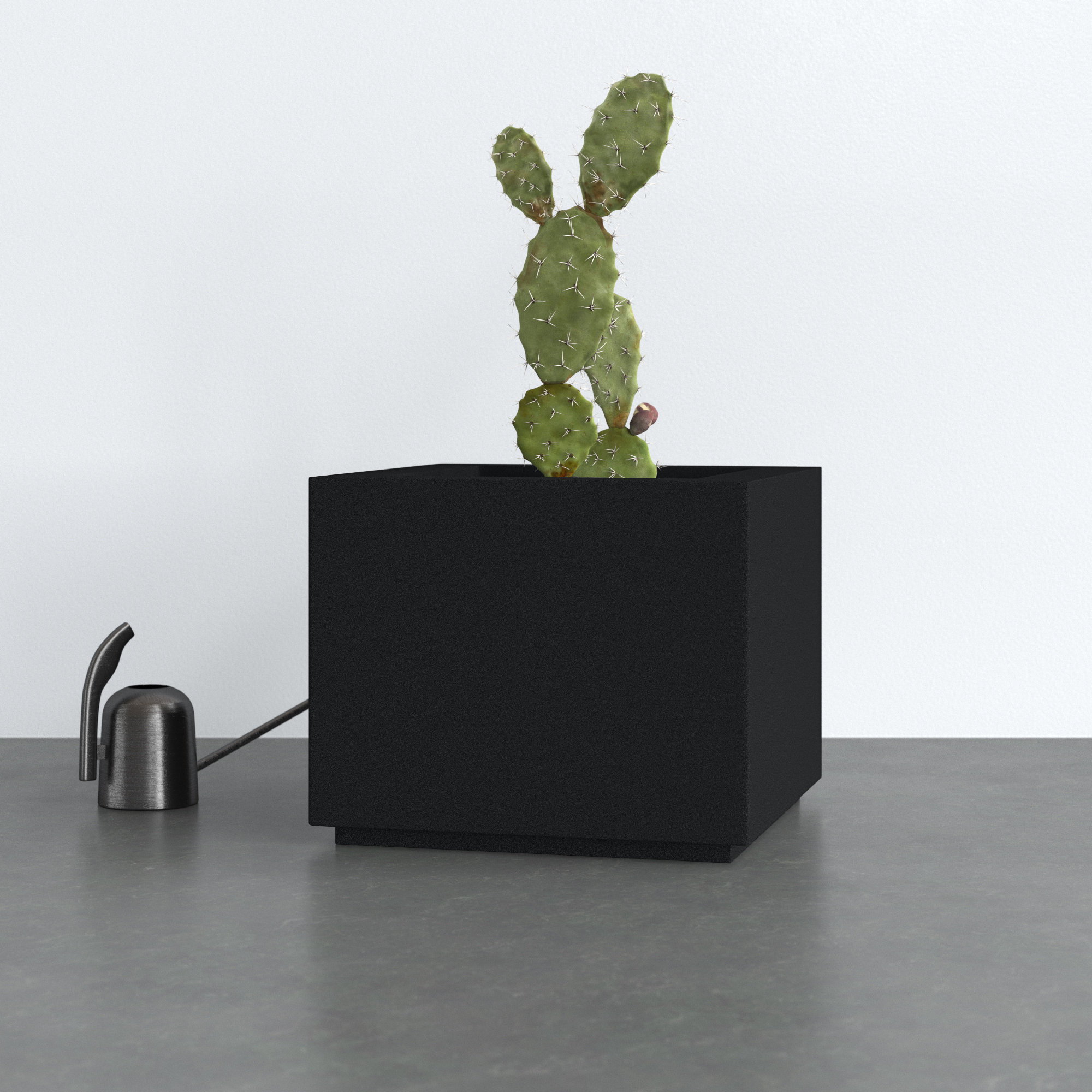 AllModern Gita Planter Box - Thumbnail 4