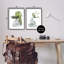 "Simple Monstera Plant Leaf Sprig" par Sally Swatland - ensemble de 2 impressions-848741361-848741373