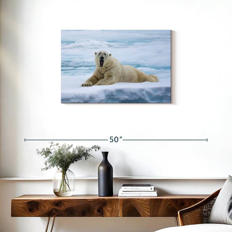 L'ours polaire Brampt se réveille