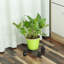 Support pour plante Thyrwi-1231637632