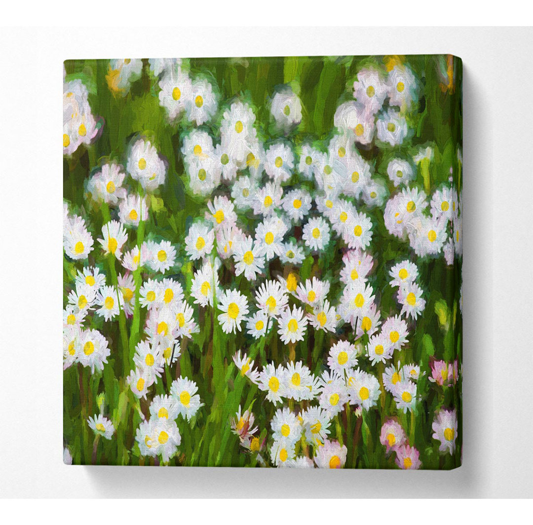 Dehl White Daisy Heaven - Kunstdrucke auf Leinwand