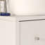 Ipsarion Freestanding Under Sink Cabinet