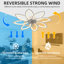 Deira 90cm 7 - Blade Reversible Dimmable LED Ceiling Fan With Remote Control And APP-848965754