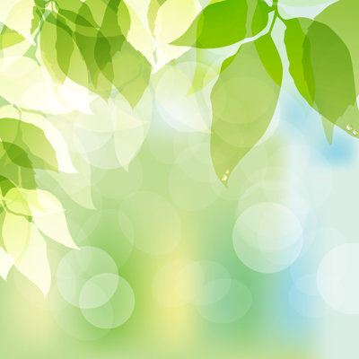 Green Background - Wrapped Canvas Print