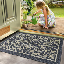 Fall Front Porch Rugs 24x 51, Black and Outdoor Rugs 2' X 4.3