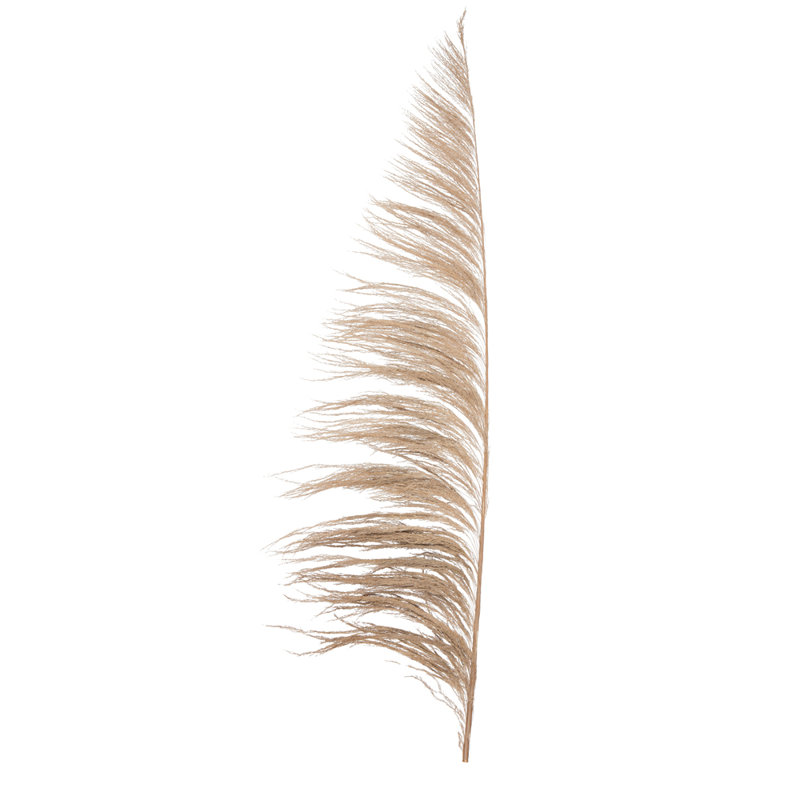Lei palmier 60-72 po Uva, Naturel