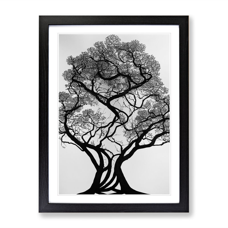 Shadow Of A Tree - Single Picture Frame Print, Black, 64cm H x 46cm W x 2cm D