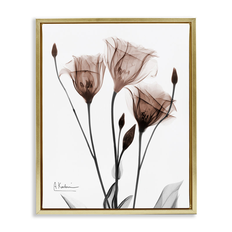 Impression sur toile Minimal Translucent Tulips, design par Albert Koetsier, H 21 po x l 17 po