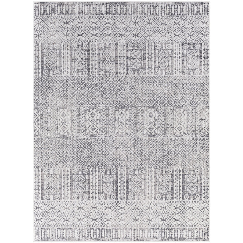 Aavyn Southwestern Indoor Rug, Rectangle 6'8" x 9'