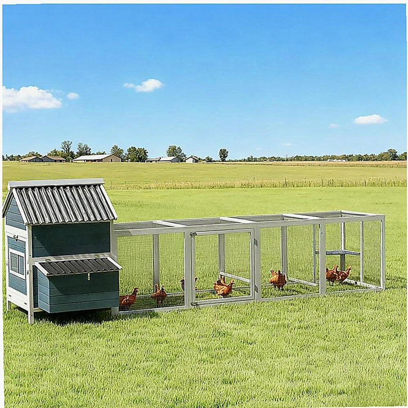 Poulailler pour 10 à 15 poulets