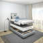 Sommier tapissier 9 pouces avec couvre-matelas en métal, assemblage facile-639854691-642202971