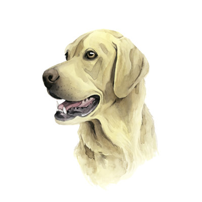 Sunny Boy II 1 Piece Wrapped Canvas Wall Art
