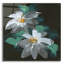 Art mural en verre Clematis 2 'par Chris Paschke-1701863382