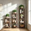 135 cm H x 30 cm W Corner Bookcase