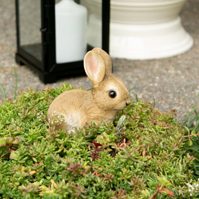 VIVID BUNNY