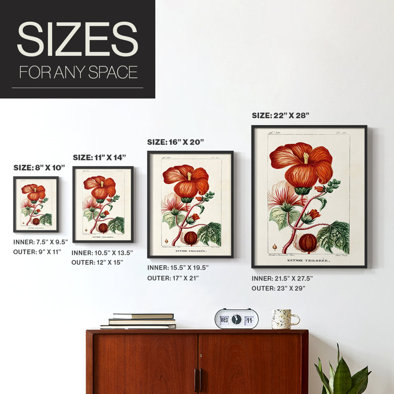 Reproduction encadrée Turpin Tropical Botanicals VII - bois massif, Noir, H 10 po x l 8 po