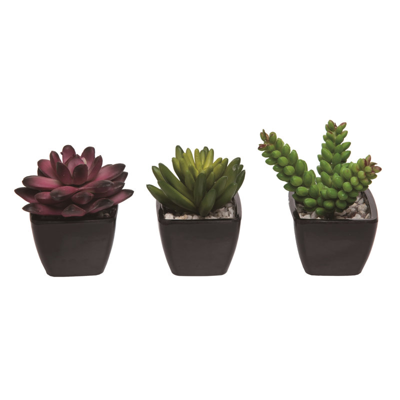 Ensemble de 3 plantes artificielles 4 po avec plantes