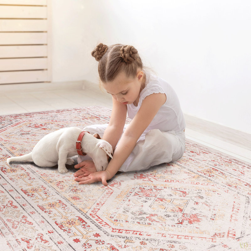 Washable Rug 3X5 Area Rug (3' X 5')Non-Slip, Non-Shedding Low-Pile Rug Perfect For Living Room, Bedroom, Kitchen And High-Traffic Areas