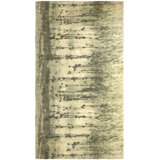 Wool And Silk Nepal One-of-a-Kind Rectangle 9' X 16' Area Rug