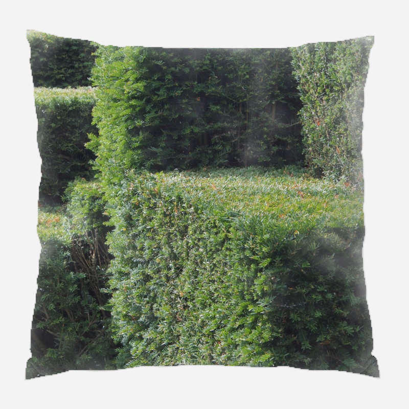 Coussin décoratif