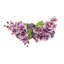 Orchid and Sedum Arranged in Fiberstone Planter-1944020321-1944020326