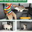 Luxury Luxury - Enclos gris en bois avec pont gonflable, plateformes et panneau de soleil pour plusieurs chats
