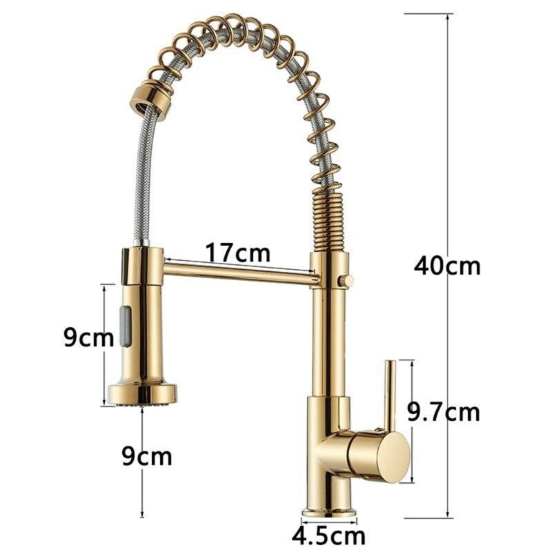 Belfry Kitchen Arradene Pull Down Kitchen Faucet