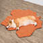  Couverture pour animaux en forme de feuille, rouge érable