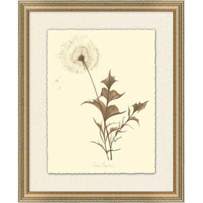 Dandelion Print
