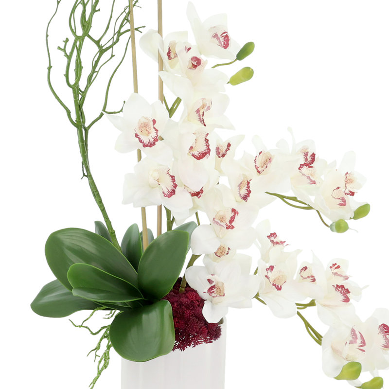 Primrue Orchid Arrangement with Sedum in Ceramic Vase | Wayfair