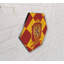 Impression sur bois Harry Potter (tissu écossais Gryffondor)