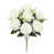 Cream White