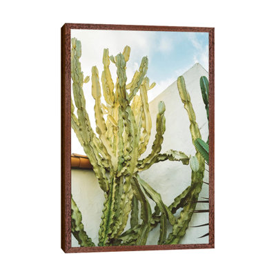 California Cactus by Bethany Young - Print on Canvas