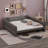 Upholstered Daybed, King Size Daybed Frame With 2 USB Ports, Backrest, And Armsets-124428212