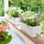 Balconera Window Box Planter-16493007-16493008