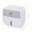 Wall Mounted Toilet Paper Holder