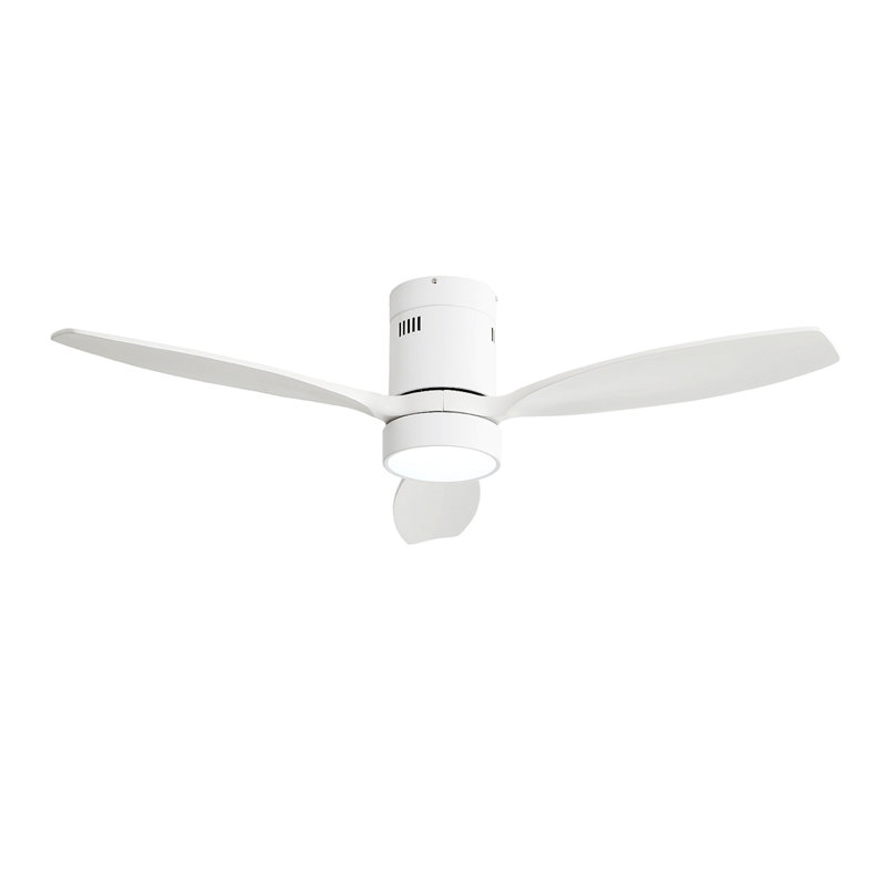 Ventilateur de plafond 52 po pour l'intérieur et l'extérieur