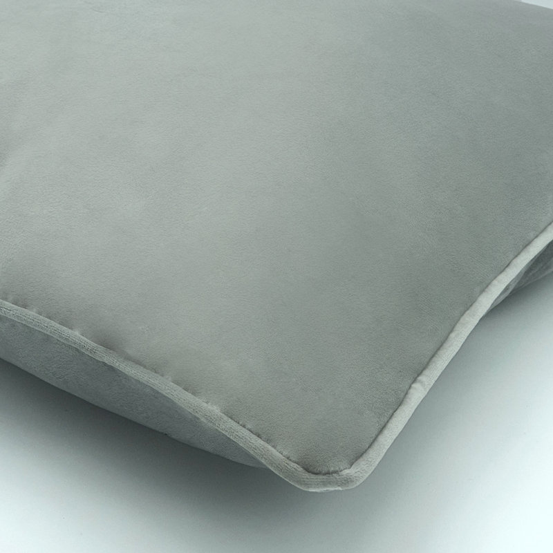  Velvet Throw Pillow 20 X 20, Silver