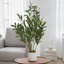 Arbre en pot artificiel 2 pi. Faux plante avec 22 fruits. Faux arbre à base de ciment pour décoration intérieure et extérieure