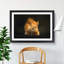 Red Squirrel - Framed Print-55598278-55598284