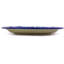 Stoneware Dinner Plate
