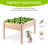 Shavina Wood Elevated Planter