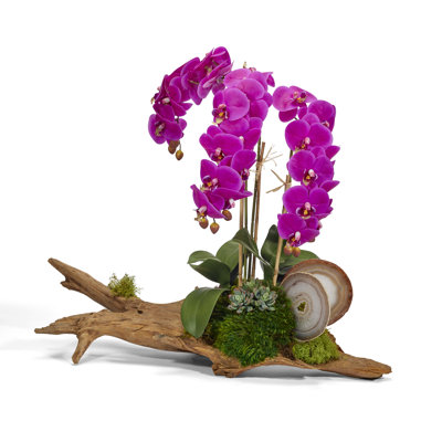 Faux Silk Orchid Arrangement in Planter
