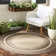 Carold Performance Solid Color Indoor/Outdoor Area Rug