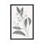 « neutral botanique v », reproduction sur toile tendue-72451735-72451736-72451742