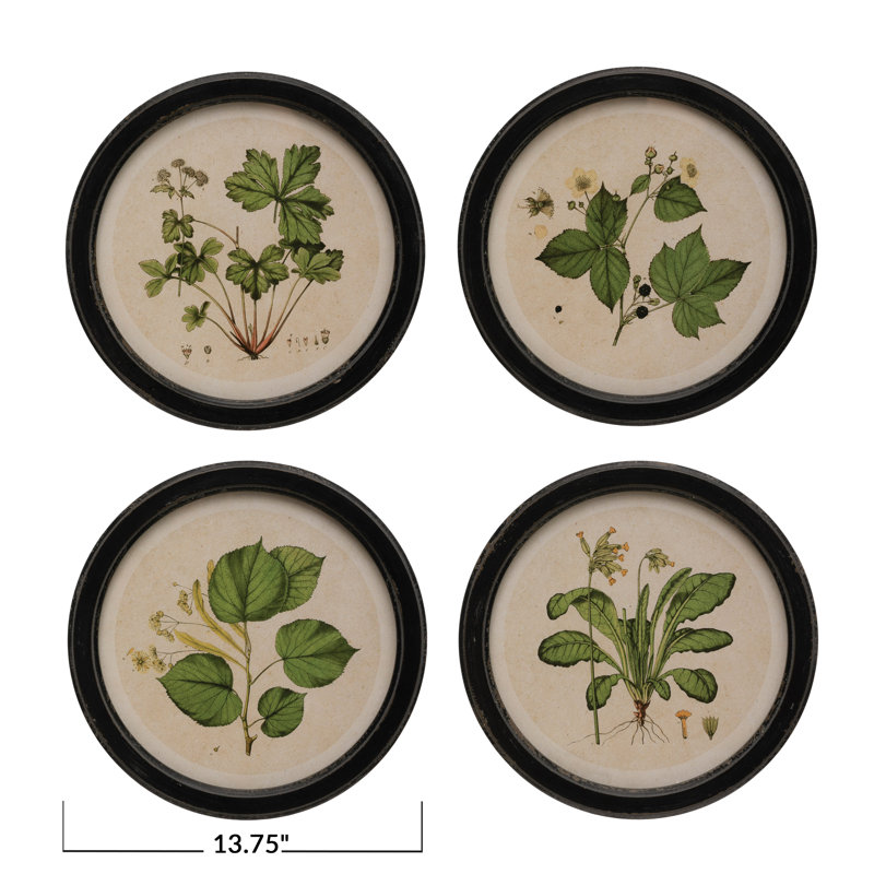 Décoration murale encadrée en bois avec reproduction botanique rétro