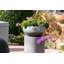 Metal Pot Planter