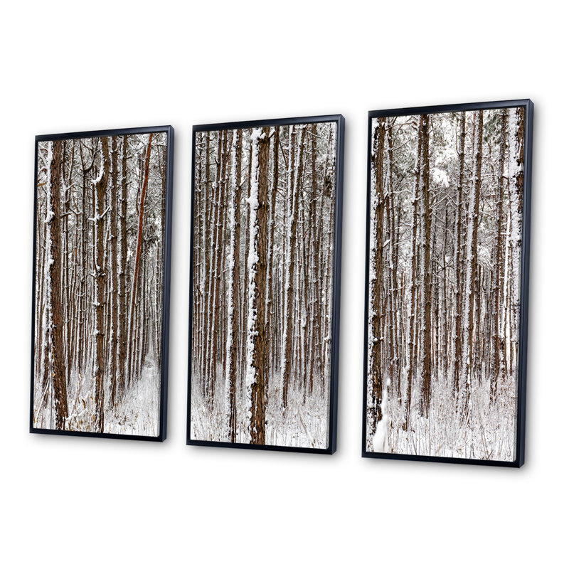 «Dense Pine Forest In Winter», ensemble d'art mural sur toile encadré paysage, Noir, H 20 po x l 36 po x P 1 po